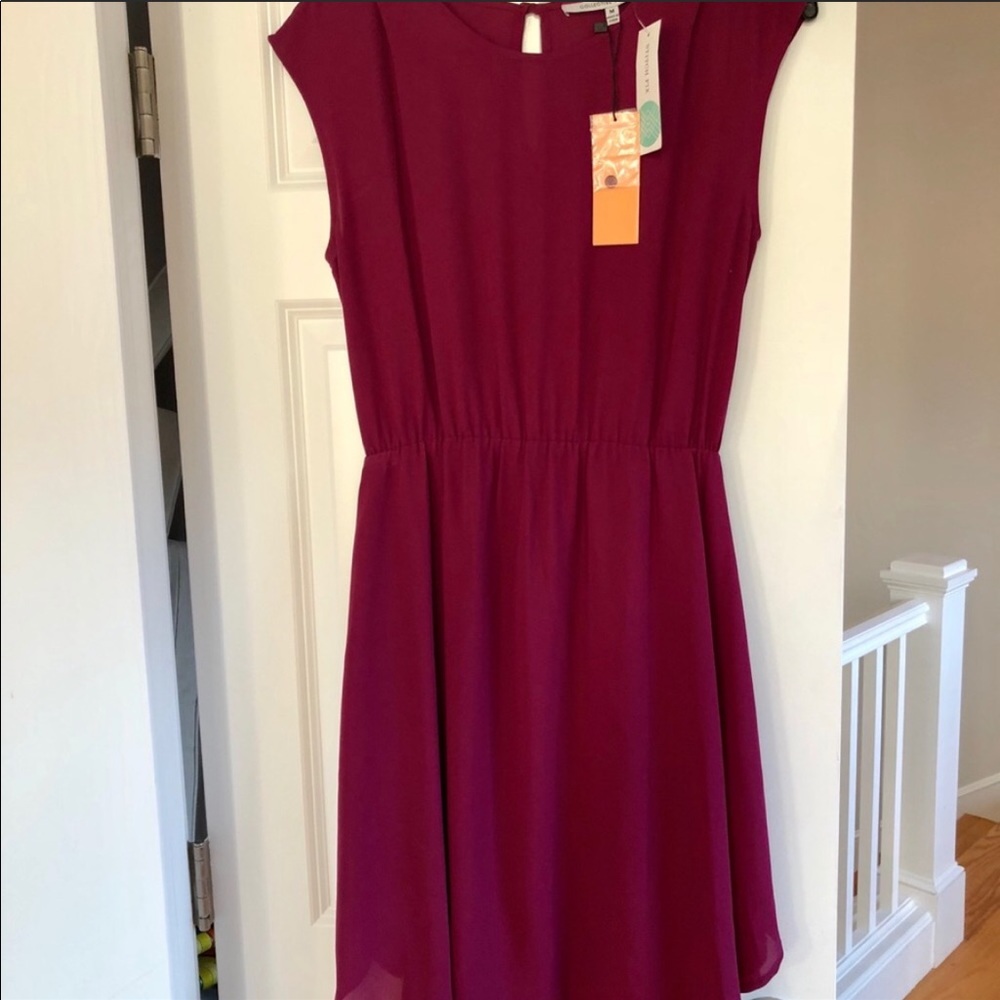 Collective Concepts Lined Dress